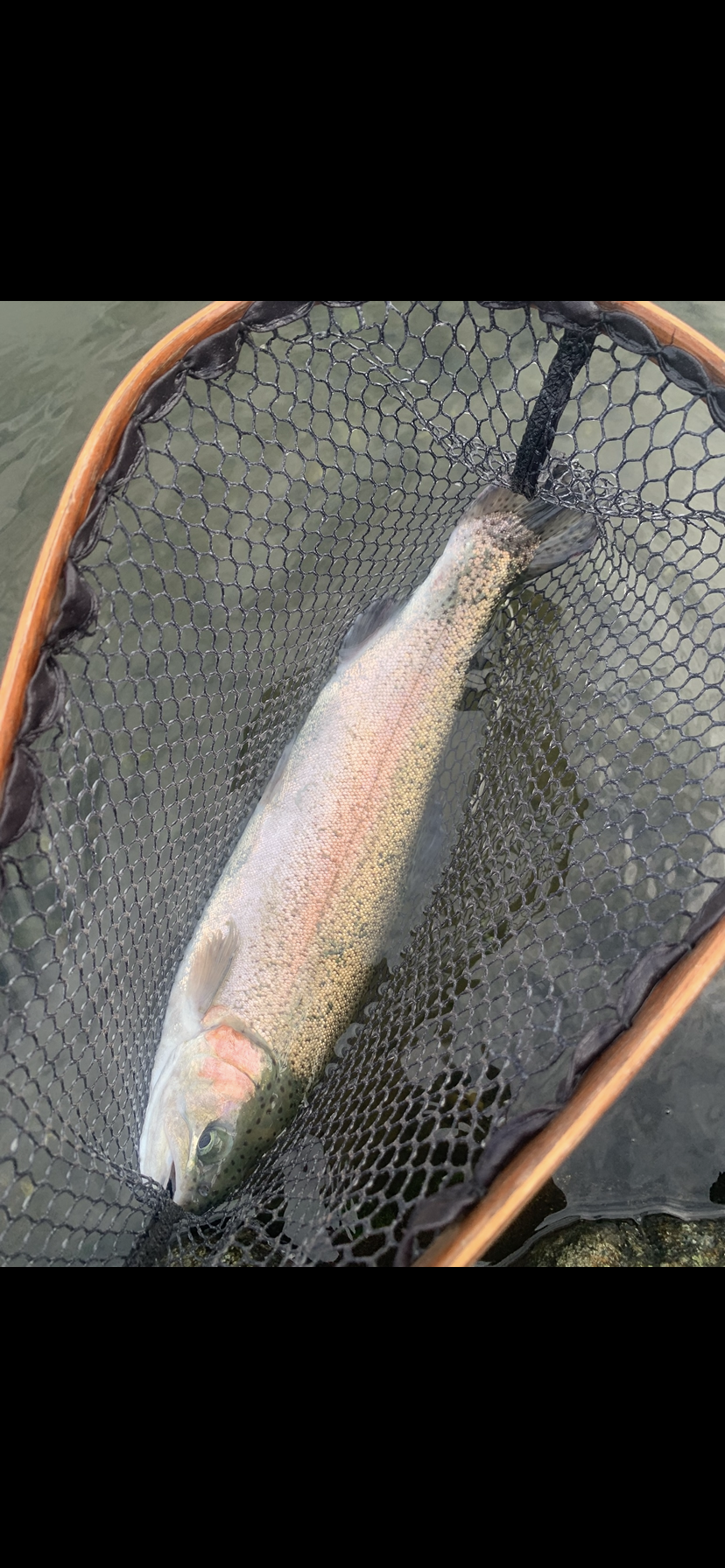 11月17日(月)　国立市　K.Tさん