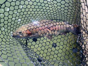 11月21日（金）国立市　K.T　さん