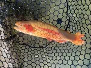 11月28日（金）国立市　K.T　さん