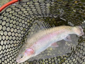 11月2日（日）　八王子市　せっきーさん