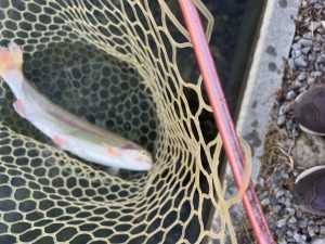 11月7日（金）八王子市　qちゃんさん