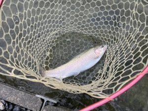 11月12日（水）八王子市　堀口さん