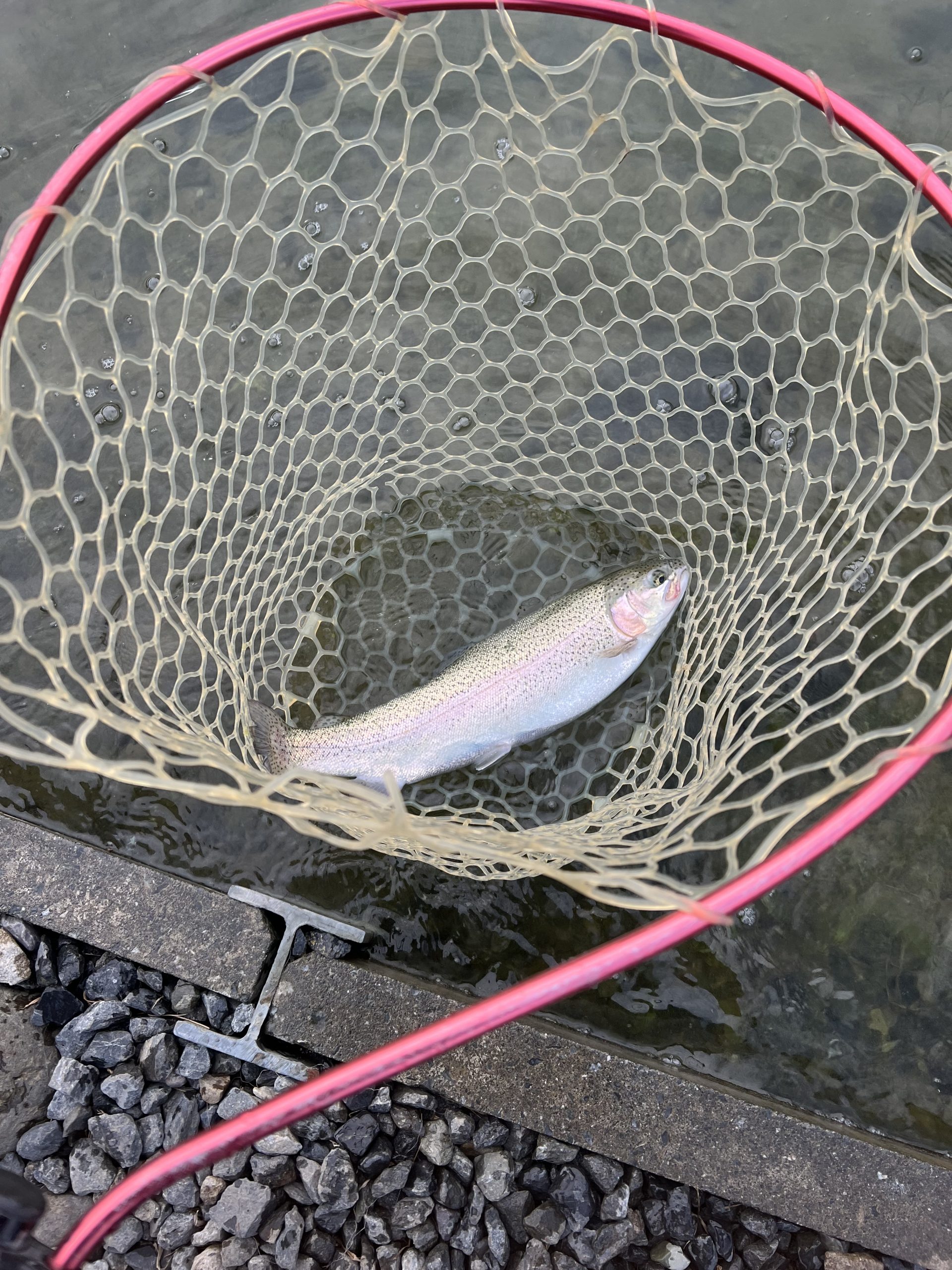 11月12日（水）八王子市　堀口さん