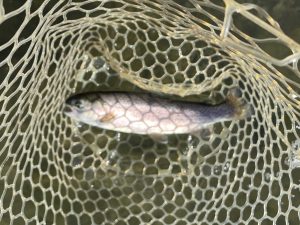 11月26日（水）八王子市　HGさん