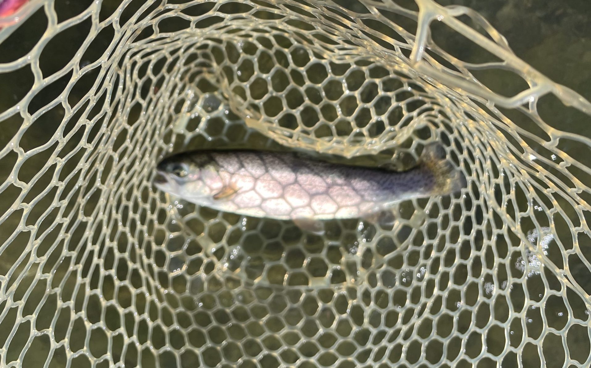 11月26日（水）八王子市　HGさん