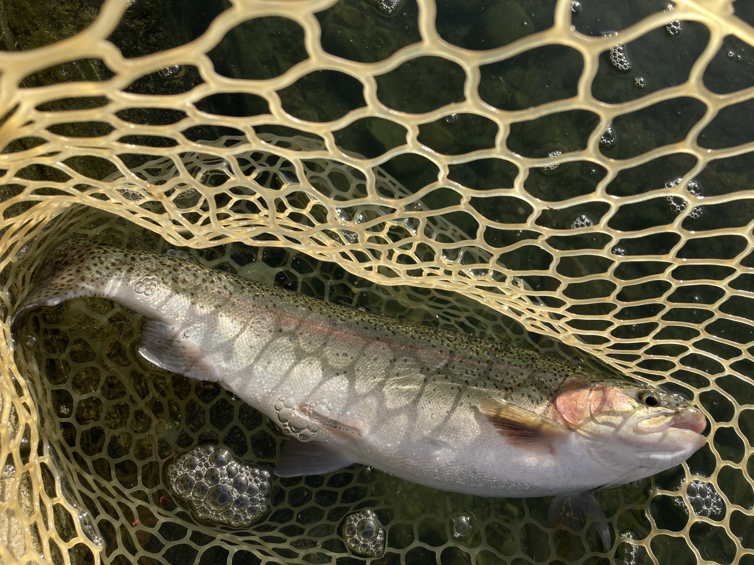 11月1日（土）あきる野市　野口さん