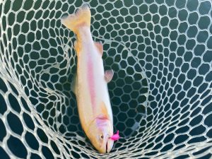 11月24日(月)　武蔵村山市　つきてく