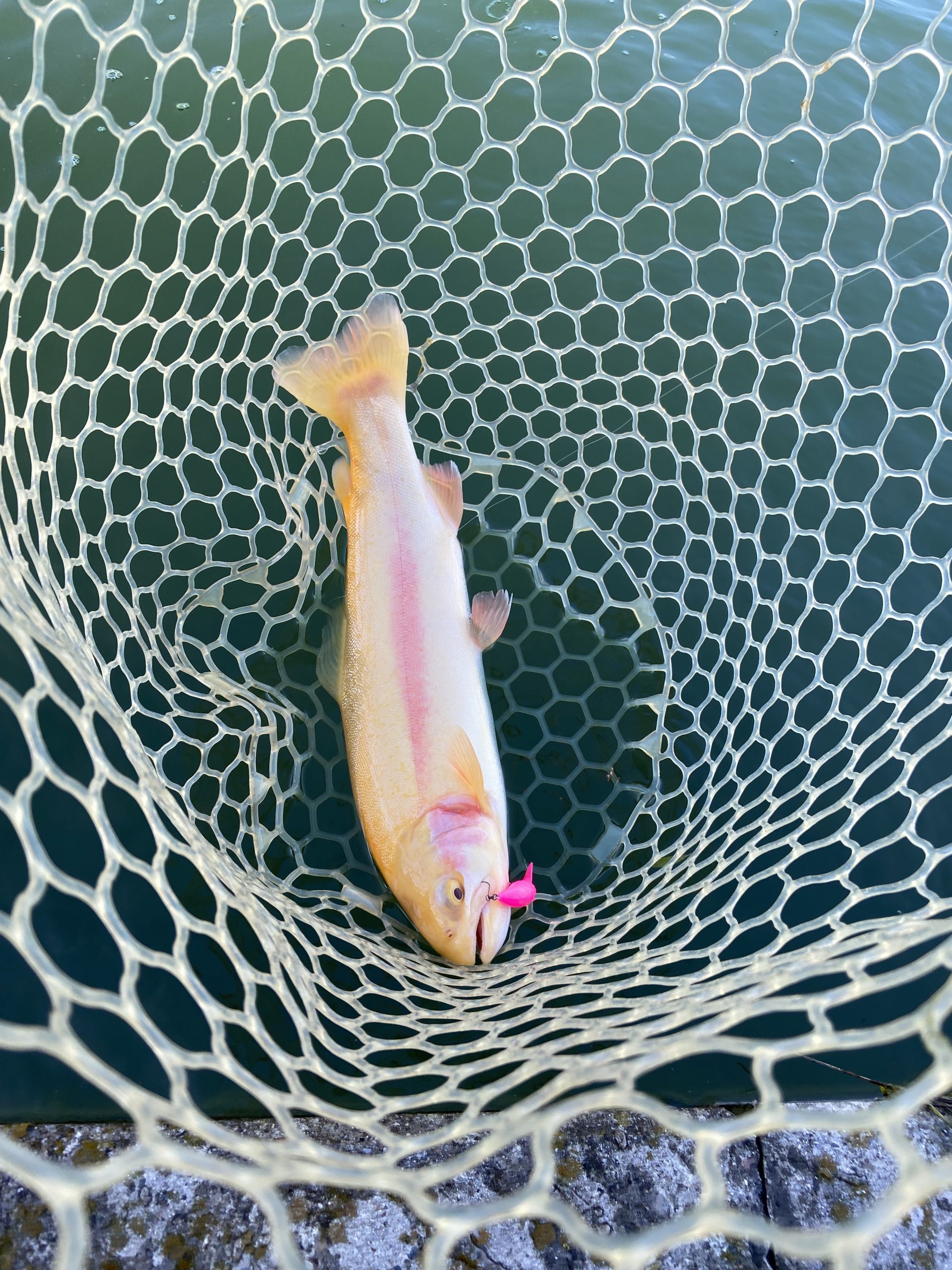 11月24日(月)　武蔵村山市　つきてく