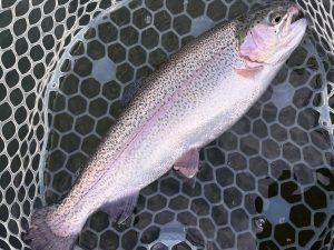 11月1日（土）入間市　★★★さん