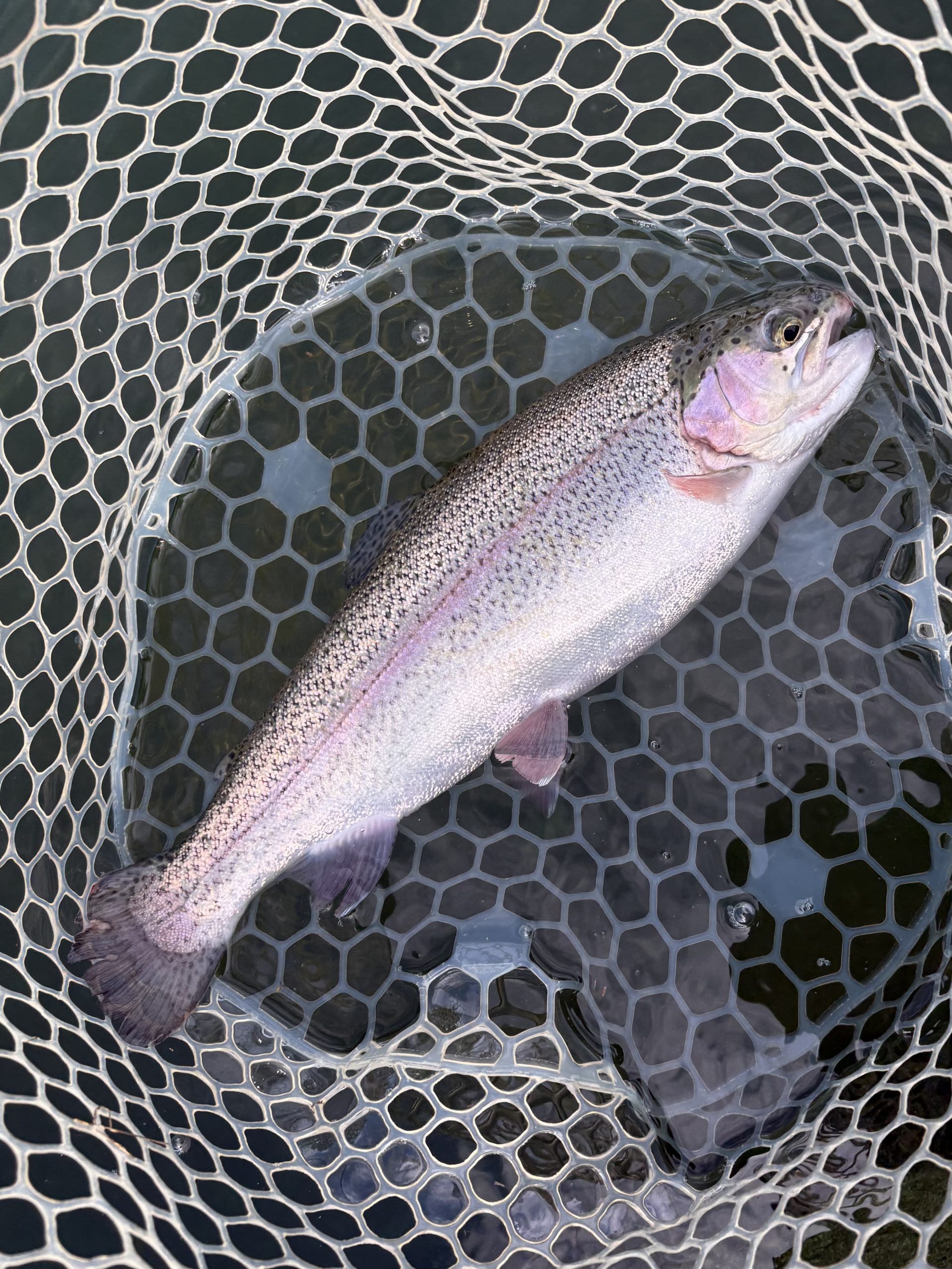 11月1日（土）入間市　★★★さん