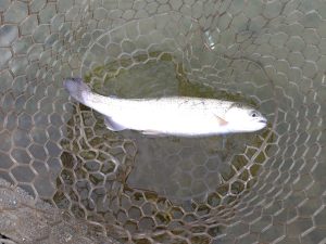 11月23日（日）あきる野市　けんさん