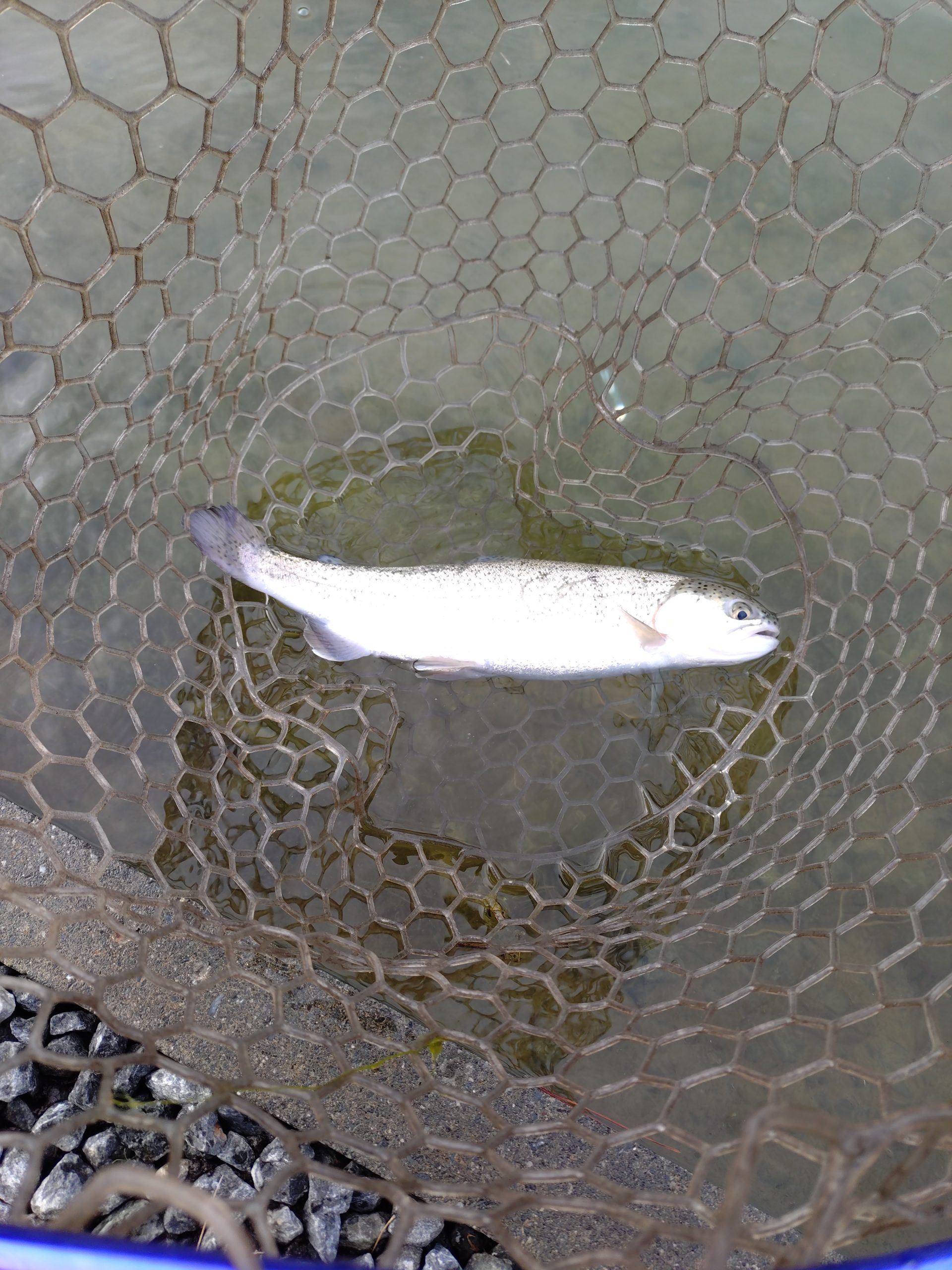 11月23日（日）あきる野市　けんさん
