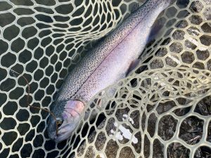 11月29日（土）　羽村市　うにねこさん