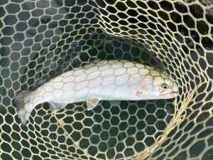 11月18（火）小平市　MORIさん