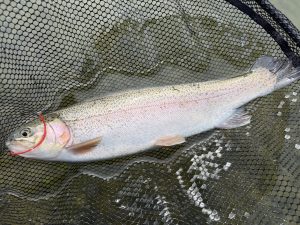 11月16日（日）　西東京市　KOTAさん