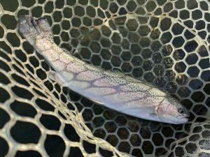 11月24日（月）　青梅市　鈴木さん