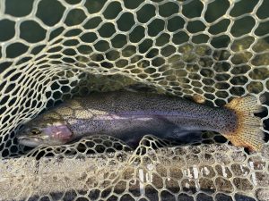 11月28日（金）青梅市　鈴木　さん