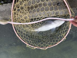 10月31日（金）所沢市　マサ内藤さん