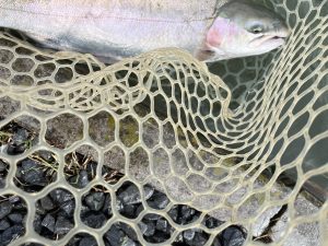 11月18日（火）日野市　ニイマスさん