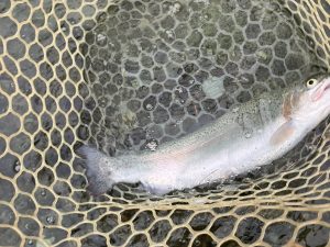 10月31日(金)　文京区　さぼてんさん