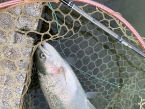 11月8日（土）小平市　にけるさん