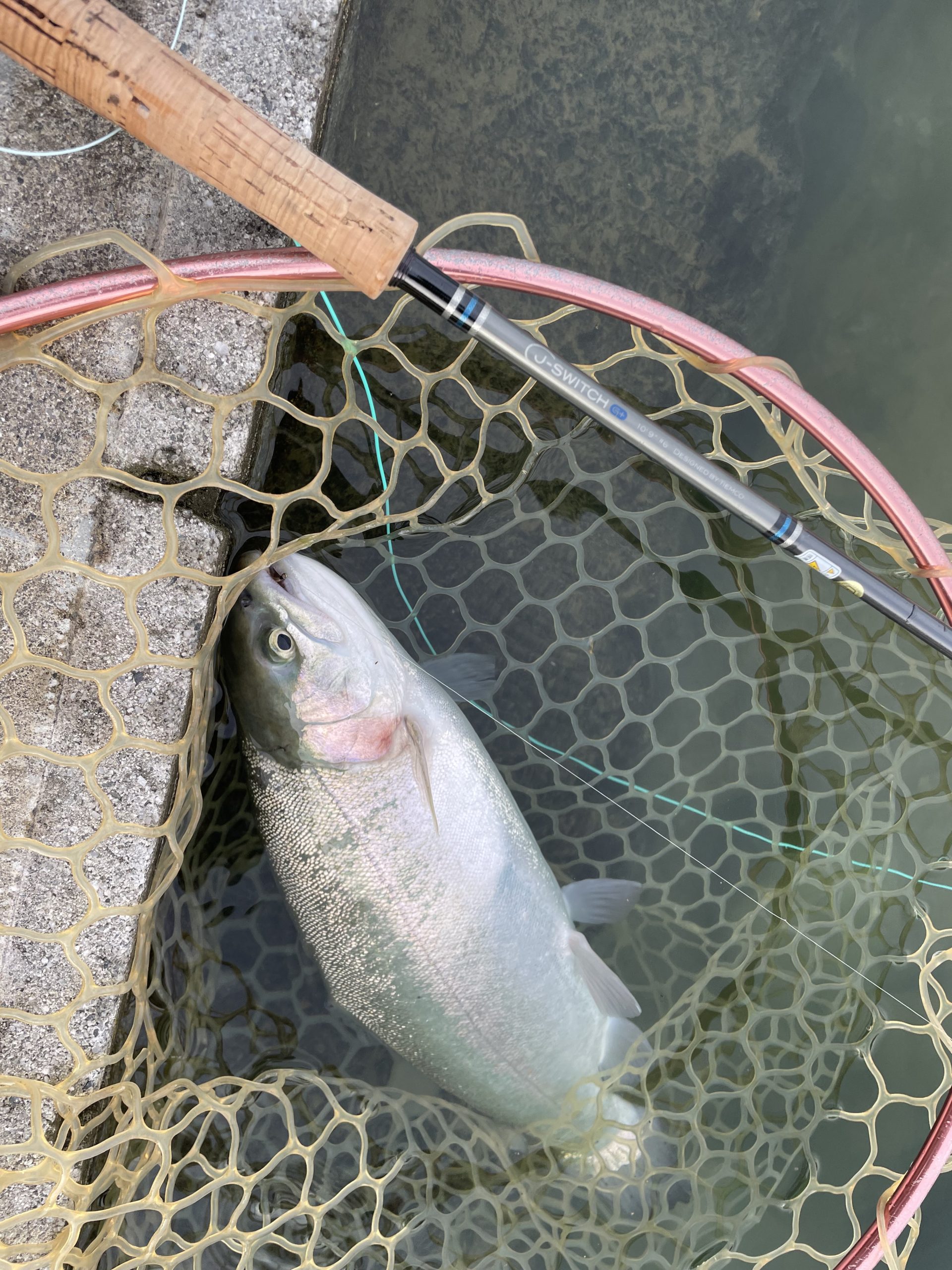 11月8日（土）小平市　にけるさん