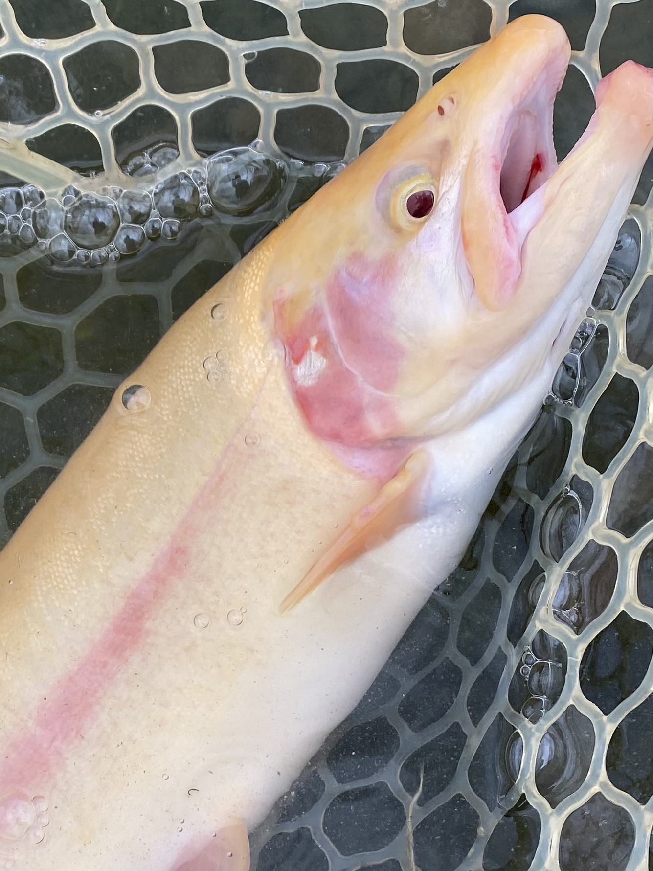 11月25日(火)　あきる野市　masa10さん