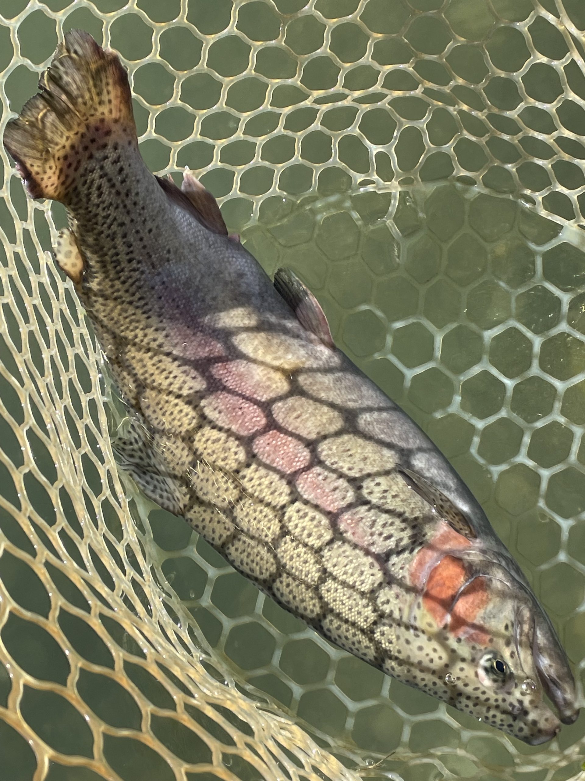 11月17日(月)　八王子市　宮城さん