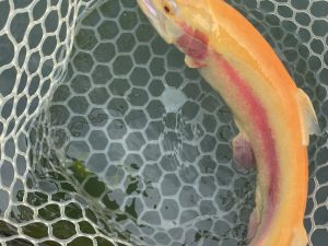 11月23日（日）八王子市　宮城さん