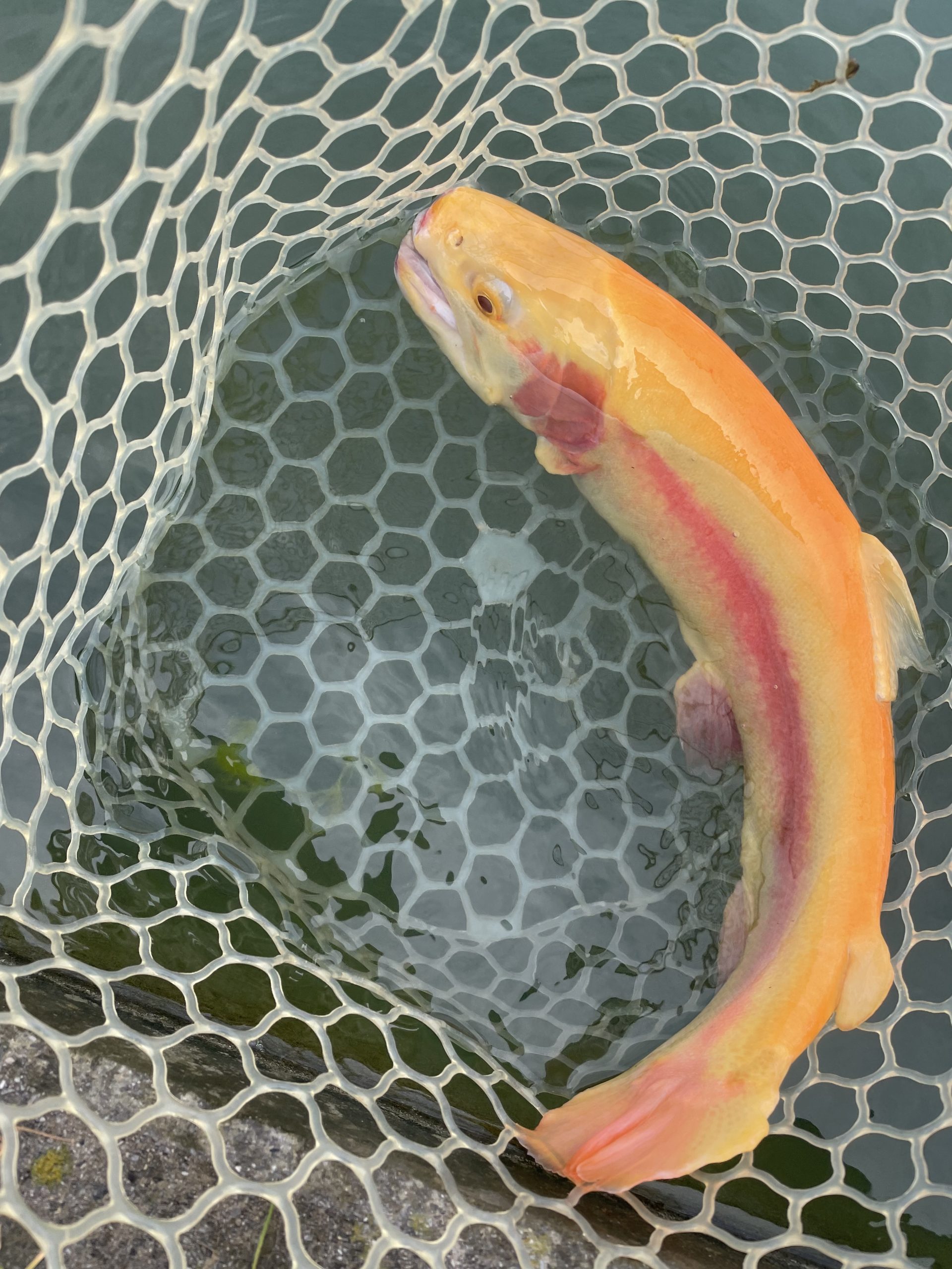 11月23日（日）八王子市　宮城さん