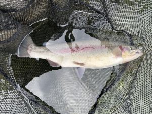 10月31日(金)　町田市　から揚げ班長さん