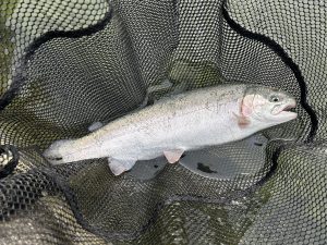 11月2日（日）町田市　から揚げ班長さん