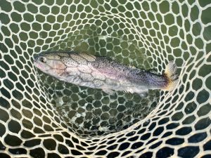 11月17日(月)　所沢市　Neoさん