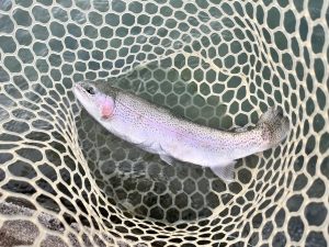 11月29日（土）　所沢市　Neoさん