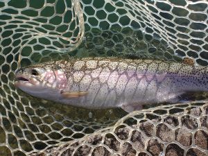 11月21日（金）埼玉県　台風カレー　さん