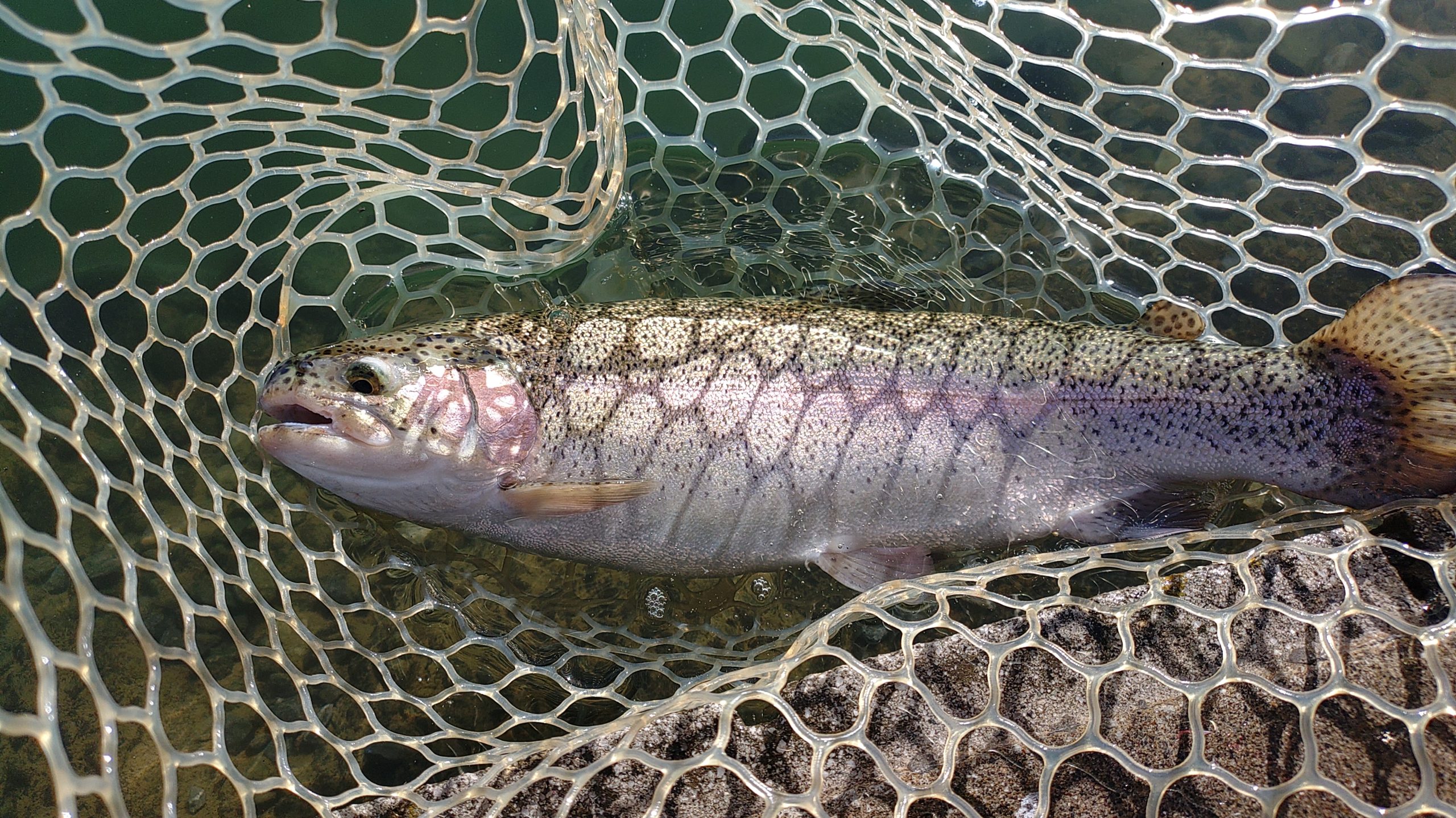 11月21日（金）埼玉県　台風カレー　さん