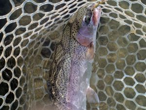 11月12日（水）西東京市　hiroさん