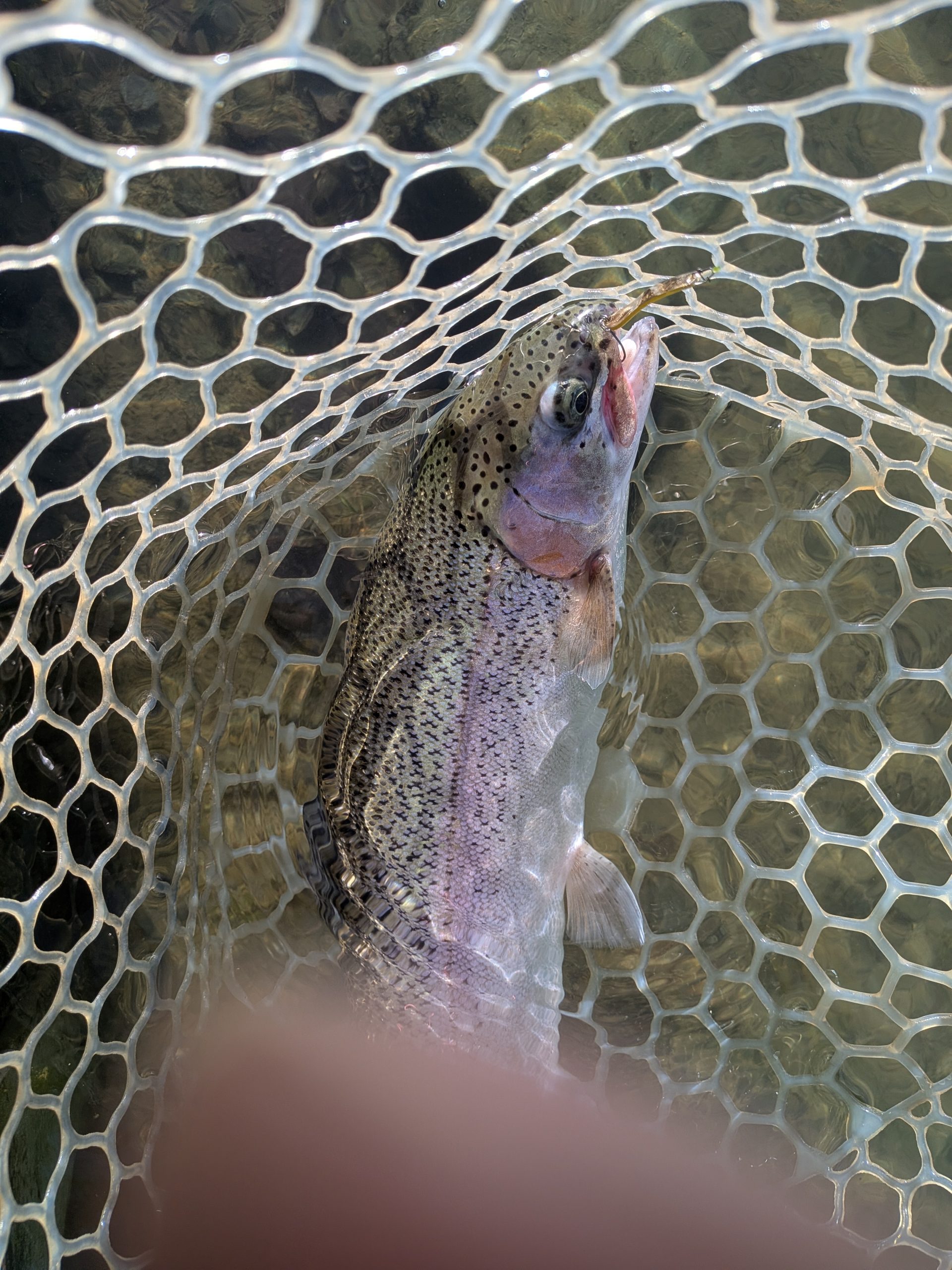 11月12日（水）西東京市　hiroさん