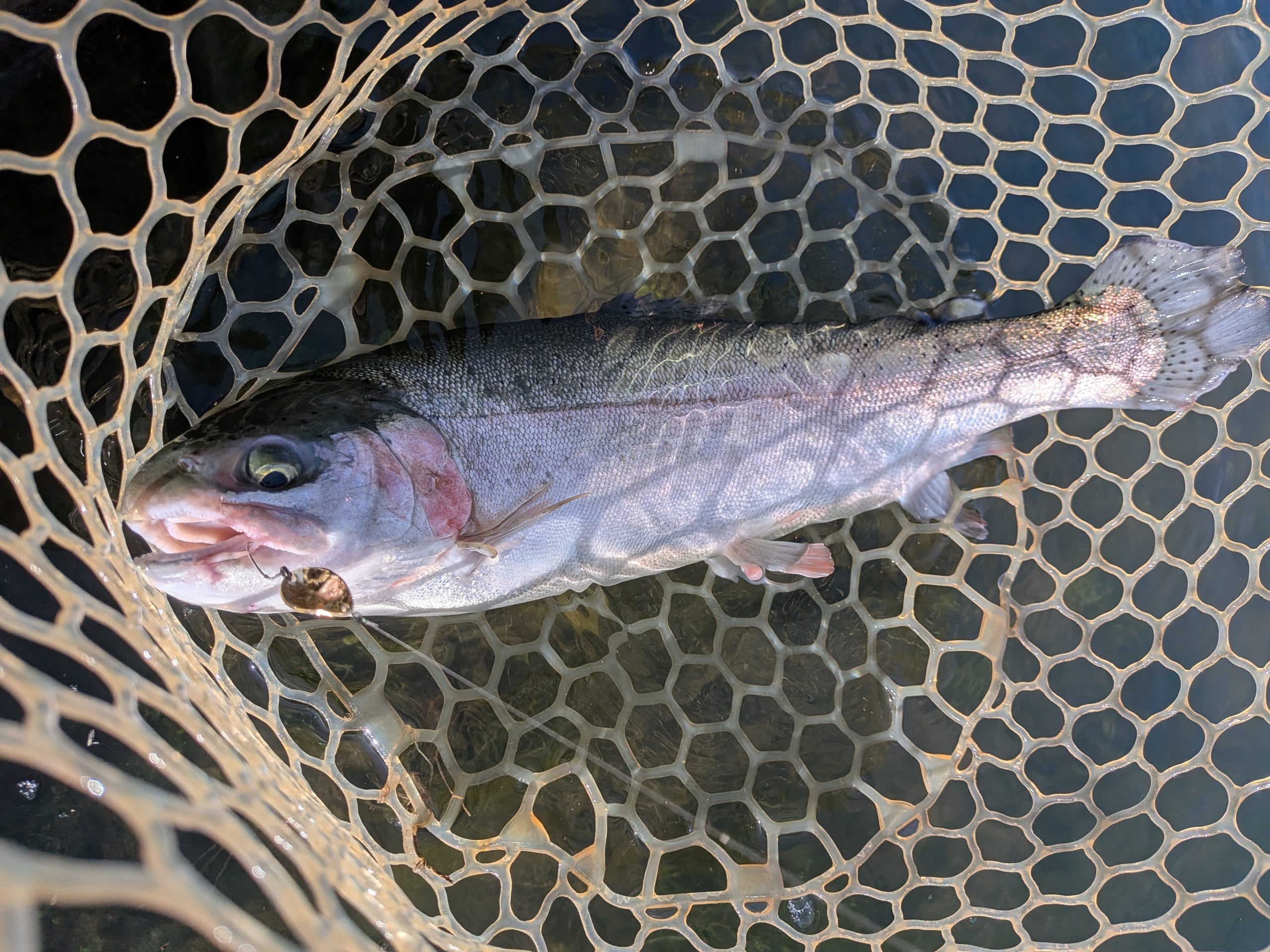 11月14日（金）西東京市　hiroさん
