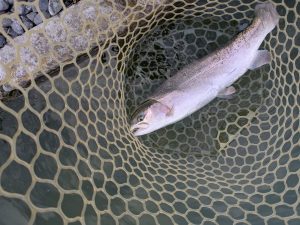 11月18日（火）狭山市　Getyさん