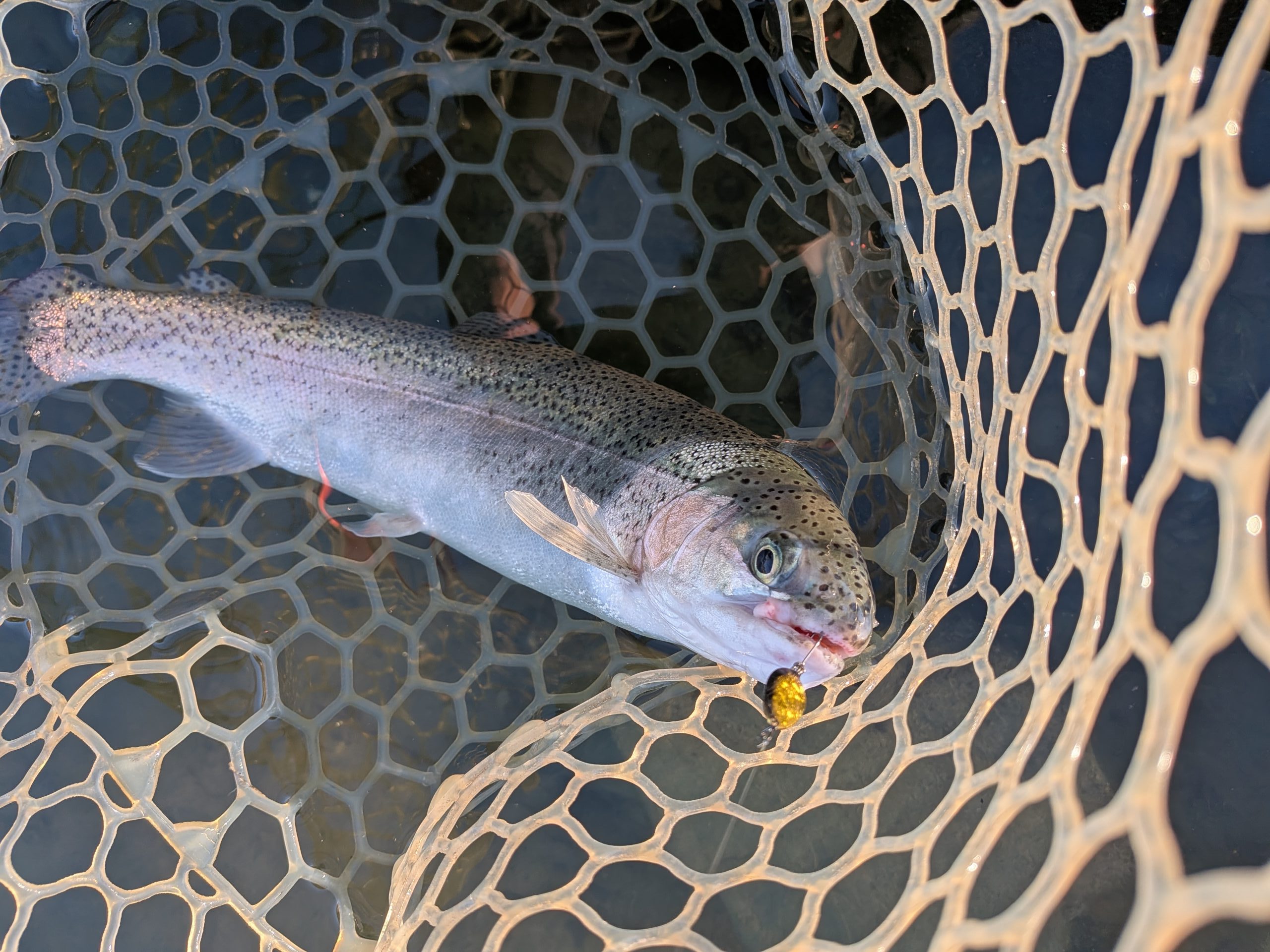 11月21日（金）西東京市　hiro　さん