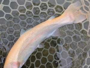 11月25日(火)　西東京市　hiroさん