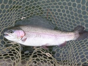 11月2日（日）三鷹市　kazu53様