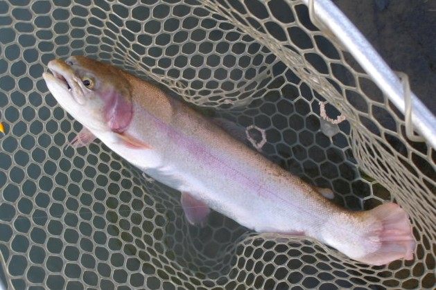 11月23日(日)三鷹市 kazu53さん