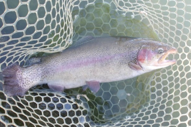 11月17日(月)　三鷹市　Kazu53さん