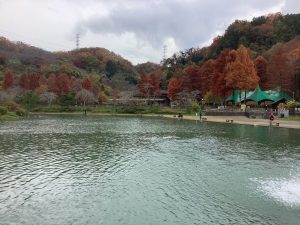 11月25日（火）　日記