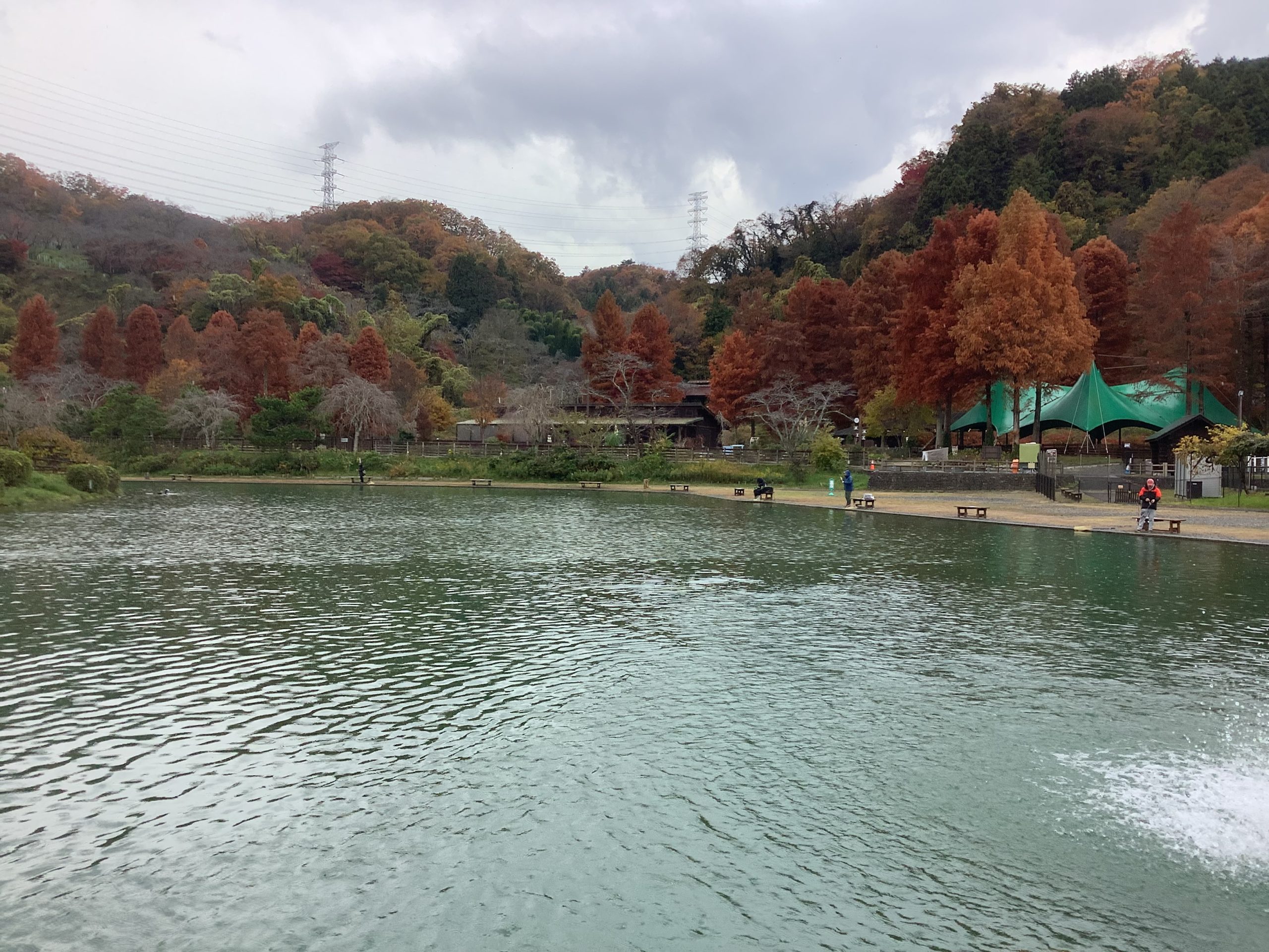 11月25日(水) 日記