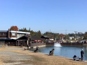 11月30日（日）日記