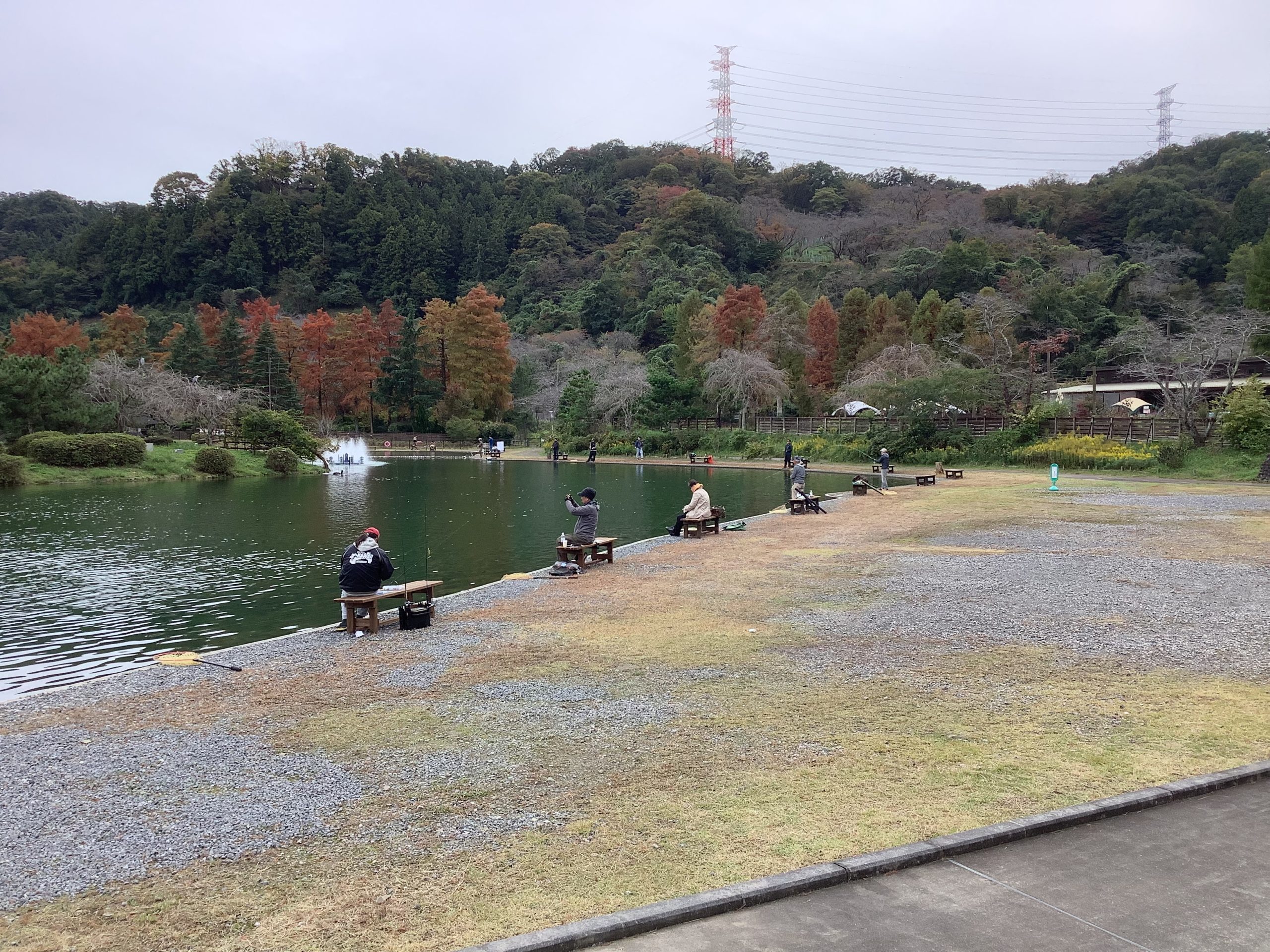 11月５日（水）　日記