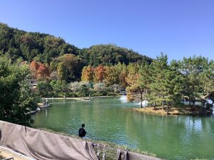 11月7日（金）日記